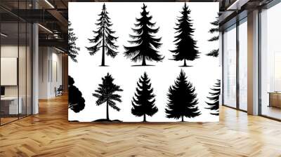 Pine tree silhouettes. Evergreen forest firs and spruces black shapes, wild nature trees templates. Vector illustration woodland trees set on white background Wall mural