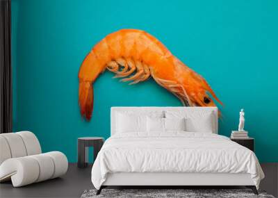 Delicious shimp on blue background. Wall mural