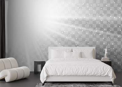 Light ray flare isolated on transparent background. Shine bright sun burst effect. Glow explosion flash. Gradient white star beam. Blast beam glare. Solar explode. Optic effect. Vector illustration Wall mural