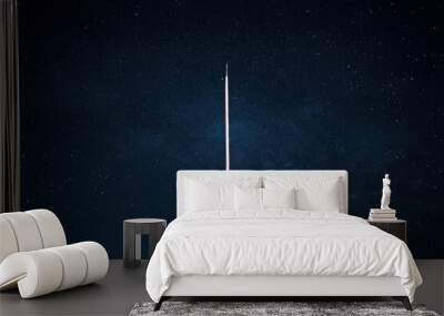 Space rocket launch into the starry sky. Space shuttle with blast and blast lift off into space on a dark background. Successful start, concept Wall mural