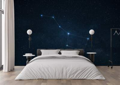 Starry sky with glowing stars and constellation Ursa Major line. Astrology, concept. Star horoscope and fortune telling Wall mural