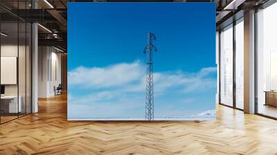 Winter Season Landscape and Power Lines Wall mural