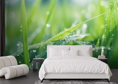 Beautiful green juicy fresh grass with drops of morning dew or water on blurred rays of sunlight. Natural background. Wall mural