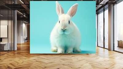 Cute white rabbit sitting and looking at the camera on light blue background Wall mural