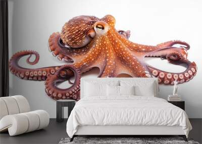 Happy octopus isolated on white background Wall mural