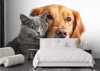 Orange dog and gray cat relaxing together isolated on white background Wall mural