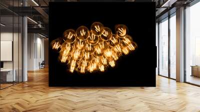 Light bulbs isolated on black. Wall mural