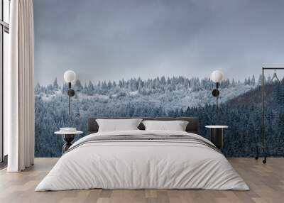 Snowy pine forest close up at a cold winter day in the Carpathian mountains with dark clouds. Wall mural