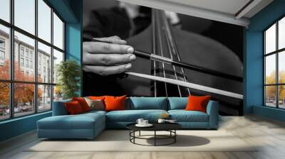 Young unidentifiable musician playing on the double bass in black and white. Wall mural