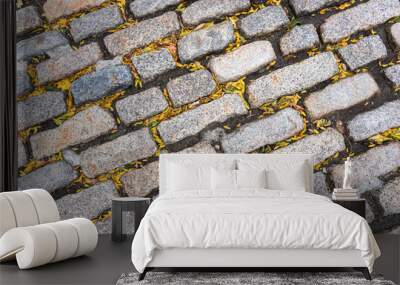 Detail from of cobblestone street. Abstract background. Wall mural