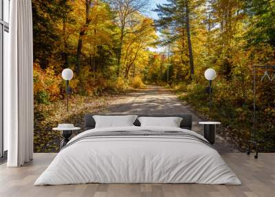 Empty gravel back road through a thick autumnal forest on a sunny day Wall mural