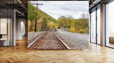 Empty railroad track in a forested mountain landscape under cloudy sky in autumn Wall mural