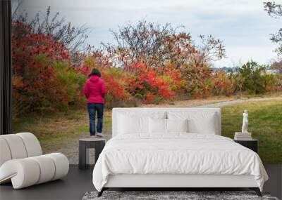 Lonely woman walking on a gravel path in a public park on a cloudy autumn day. Autumn colours. Concept of loneliness. Wall mural