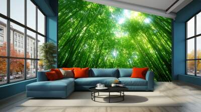 green bamboo tree Wall mural