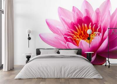 Serene lotus flower in full bloom, soft pink petals, floating on calm water, peaceful setting on solid white background, single object Wall mural