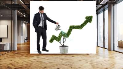 Businessman that watering a plant with a shape of arrow. Concept of growing of company economy . Wall mural