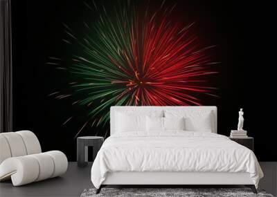 fourth of july fireworks 2 Wall mural