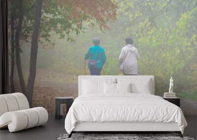 Two elderly women walk in the autumn park on a foggy day Wall mural