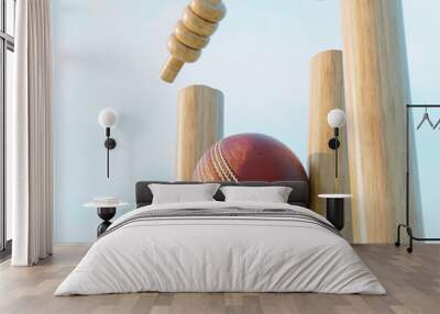 Cricket Wicket Stumps Wall mural