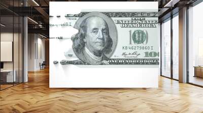 US Dollar Melting Dripping Banknote Wall mural