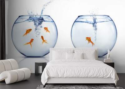 jumping goldfishes Wall mural