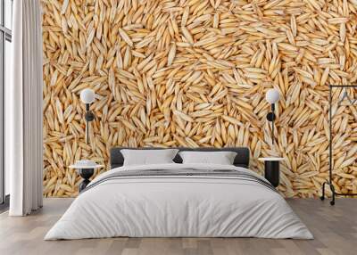 oat seeds background Wall mural