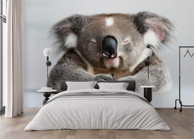 Cute koala with closed eyes resting on a plain background, showcasing its fluffy fur and unique features. Wall mural