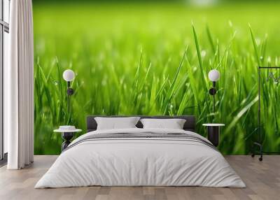 fresh cut grass at lawn, macro shot Wall mural