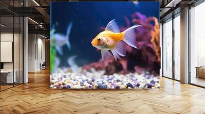 goldfish swimming in a colourful aquarium Wall mural