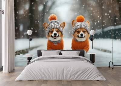 Two Corgi dogs wearing matching orange sweaters and knitted hats walking in the snow during snowfall. Wall mural