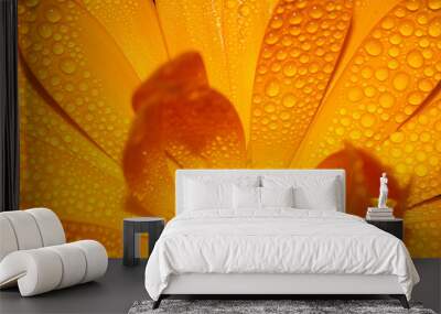 Background wet orange flower and green background Wall mural