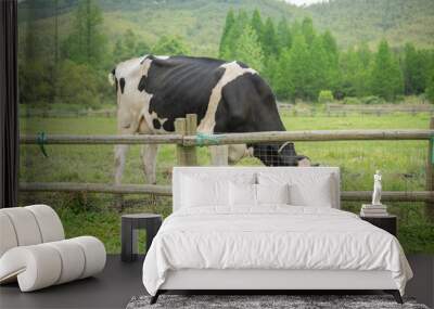 a cow on a farm Wall mural