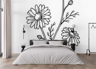 Chamomile flower graphic art black white isolated illustration vector Wall mural