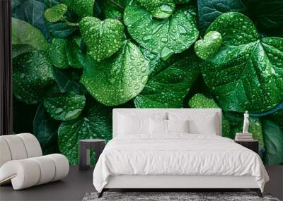 Texture of many fresh beautiful leaves with raindrops. Natural background. Wall mural