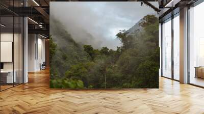 Cloud Forest in Peru, panoramic view of the tropical jungle on the northeast slope of the Andean mountain range. Wall mural