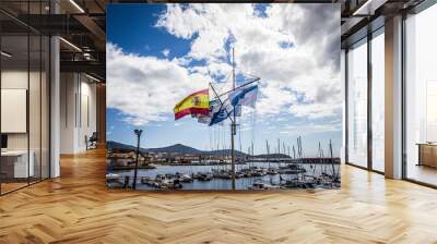 flags on the beach Wall mural