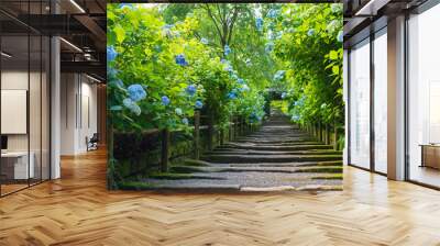 Baby blue hydrangea flowers in Meigetsuin Temple, Kamakura, Japan Wall mural