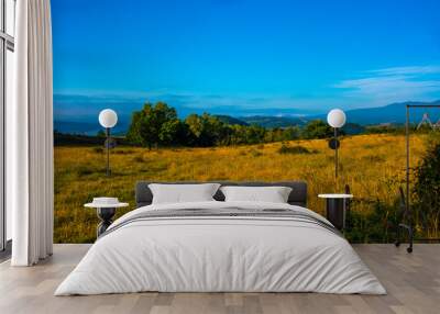 yellowed meadows and blue panorama Wall mural