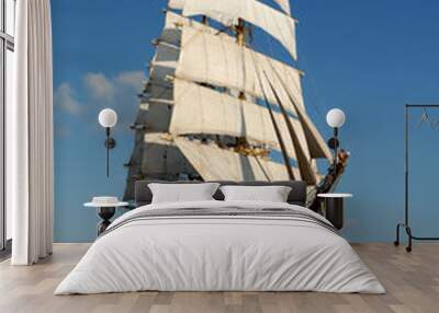 the sailing ship in the sea on waves Wall mural