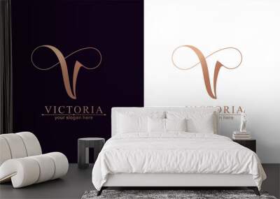 V and infinity logo. V letter logo template elements. personal monogram. Vector elegant logo. Wall mural