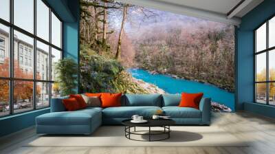 river in the woods Wall mural