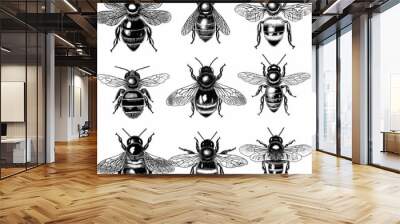 a black and white picture of bees collection Wall mural