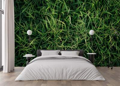 Green natural organic grass background and texture Wall mural