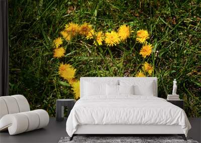 Heart of yellow flowers on a green meadow right Wall mural