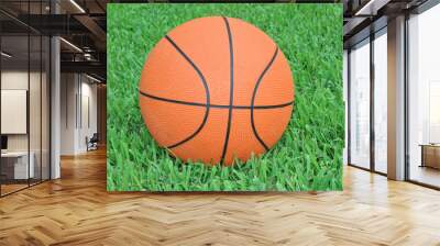 Orange basketball on green grass Wall mural