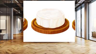 Set Camembert cheese, brie french soft creamy food on wooden tray with rosemary isolated on white background.  Wall mural