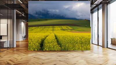 Agriculture landscape. A field of blooming rapeseed in the foreground. A view of the green hills with storm clouds looming over them. In the distance you can see the High Tatras range. Slovakia. Wall mural