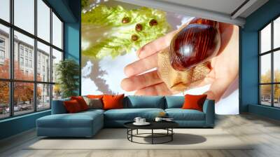 The snail on the hand Wall mural