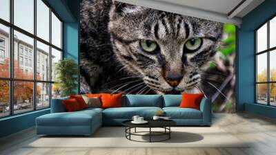 portrait of a cat Wall mural