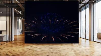 fireworks in the sky Wall mural